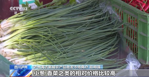 高温炙烤下的民生守护 四川多地延期开学，全力保障农产品供应