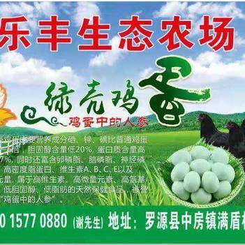 深耕源头，链接餐桌 走进农产品批发供应商谢依灿的惠农网之路