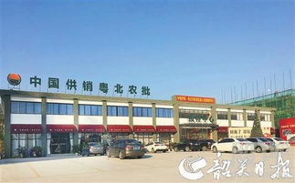 中国供销农产品批发市场控股 构建现代化食用农产品流通新格局
